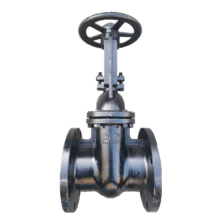 Задвижка чугунная 30ч6бр Ду50 Ру10/16, DN 50