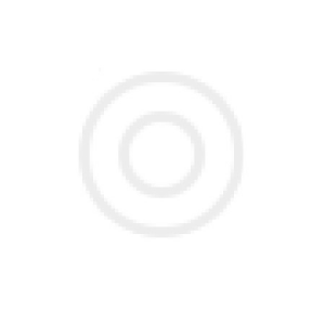 Подшипник FAG 528876 / ZWZ (92744)